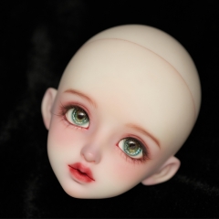 The Time Ambassador —Jane（Lily）